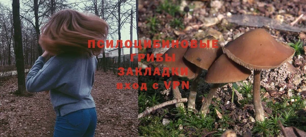 ECSTASY Дмитриев