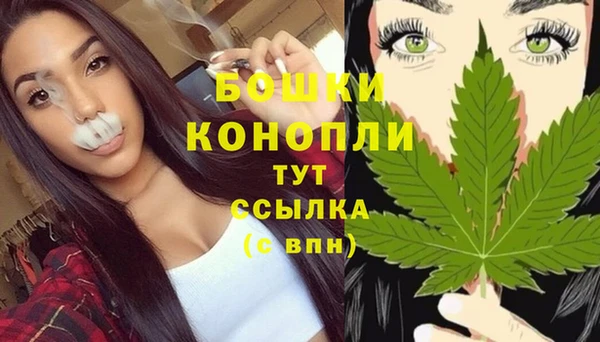 ECSTASY Дмитриев