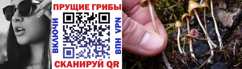 Галлюциногенные грибы ЛСД  Купить  Чита 